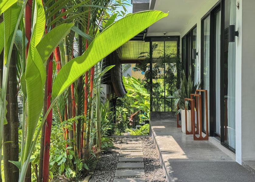Bali Canggu Property grounds