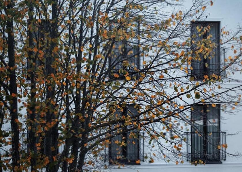 Klaipeda County Klaipeda Facade