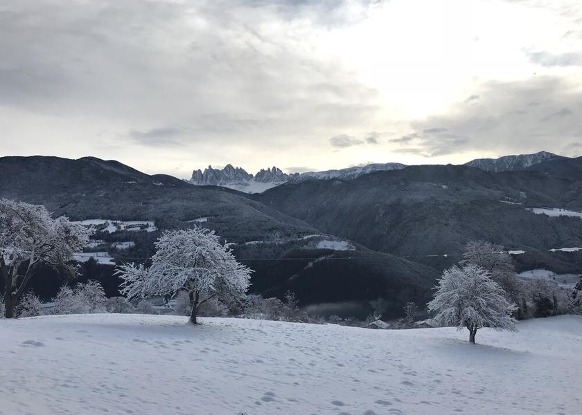 Trentino-Alto Adige Bressanone Exterior Detail