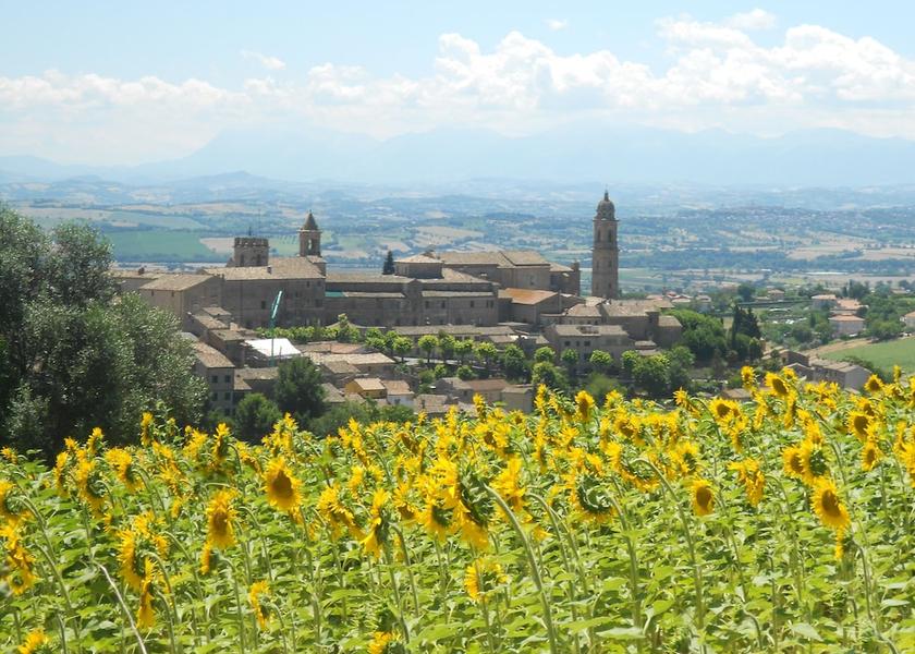 Marche Morrovalle City View from Property