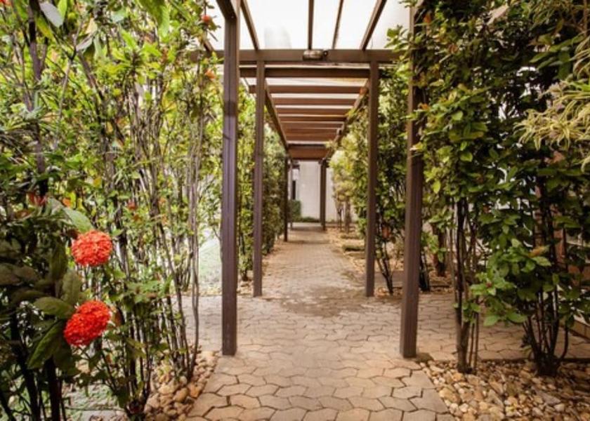 Minas Gerais Belo Horizonte Garden