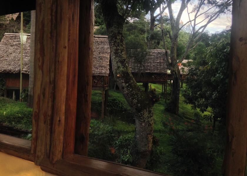  Arusha View from Property