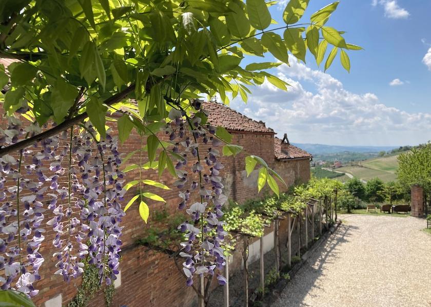 Piedmont Guarene Courtyard