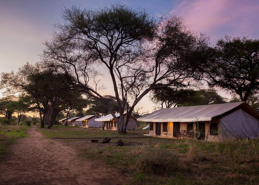  Tarangire National Park Room