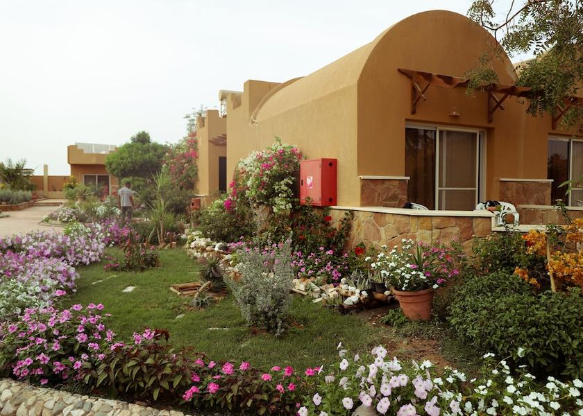 Red Sea Governorate El Quseir Garden view