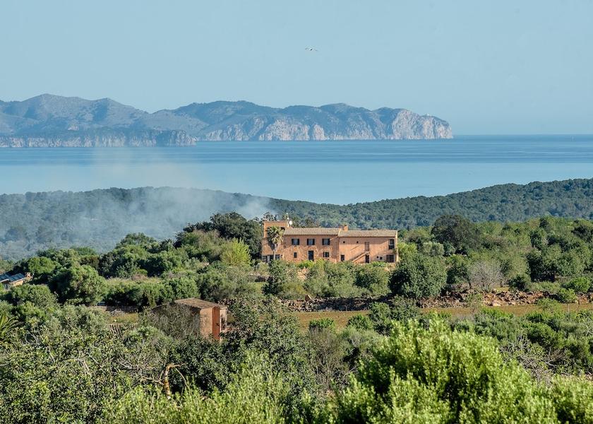 Balearic Islands Manacor Primary image