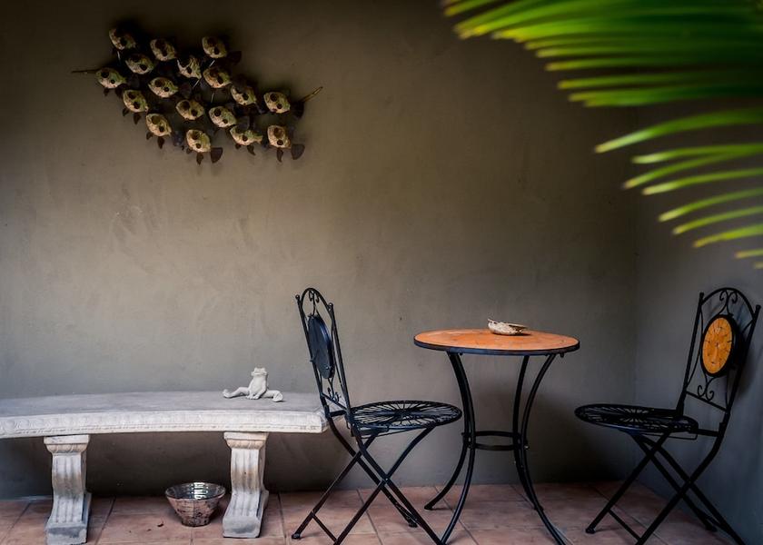 Northland Paihia Terrace