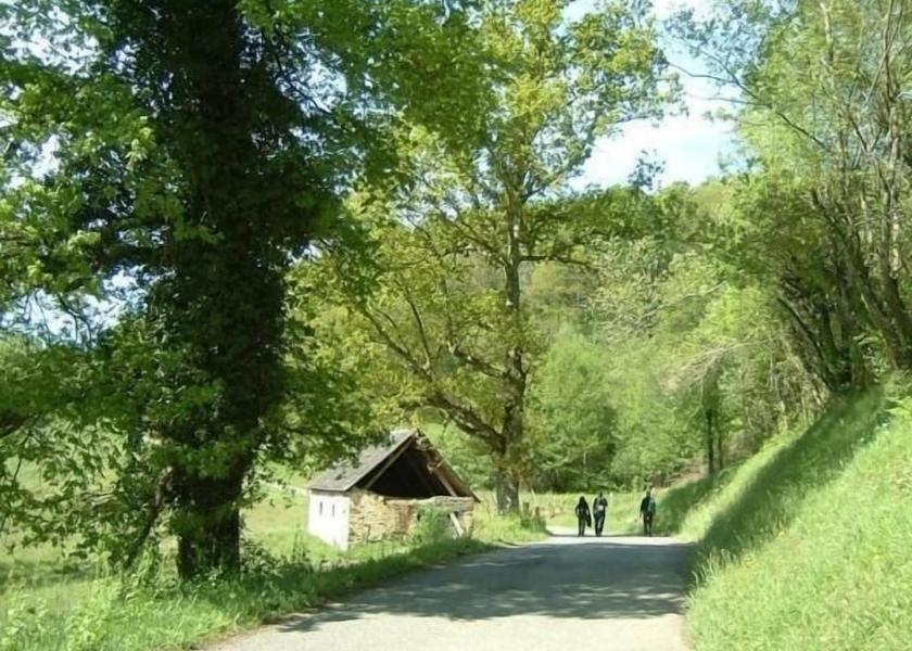Occitanie Bagneres-De-Bigorre Property Grounds