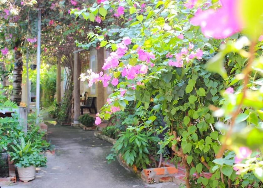 Binh Thuan Phan Thiet Property Grounds