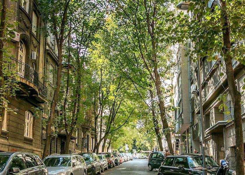 Montana Belgrade Street View