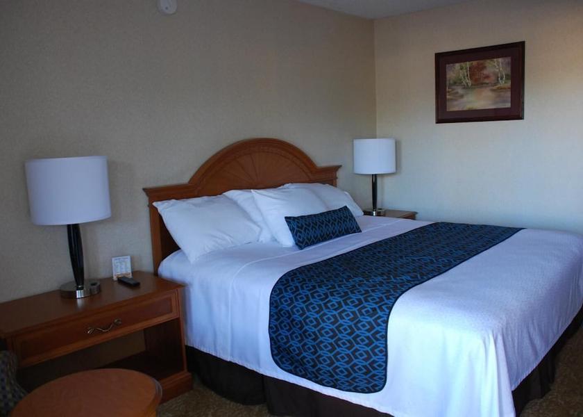 Arkansas Fayetteville Room
