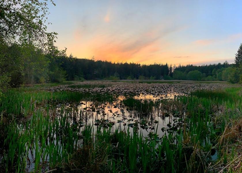 Washington Eastsound View from Property