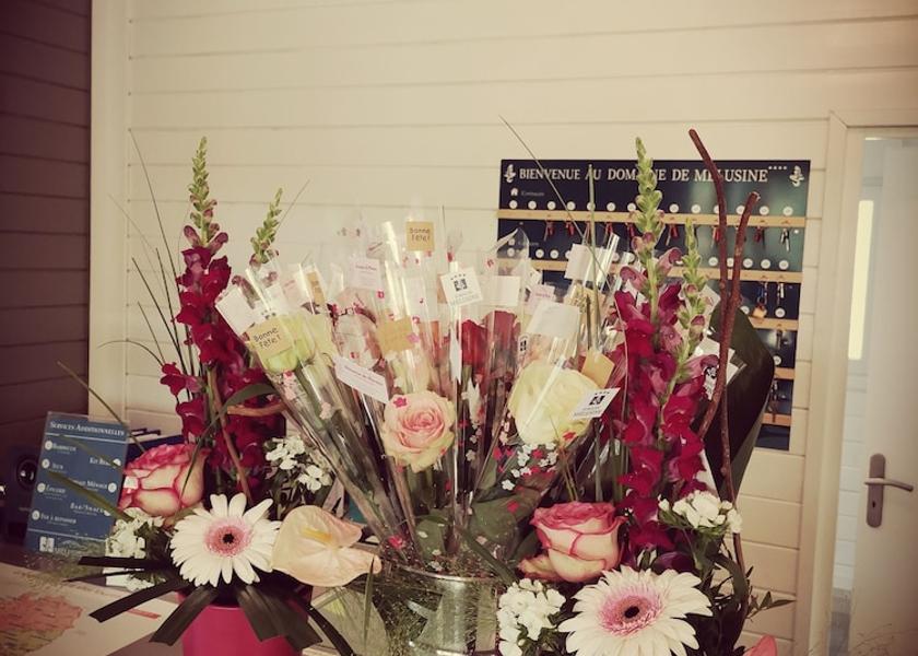 Pays de la Loire Les Epesses Reception