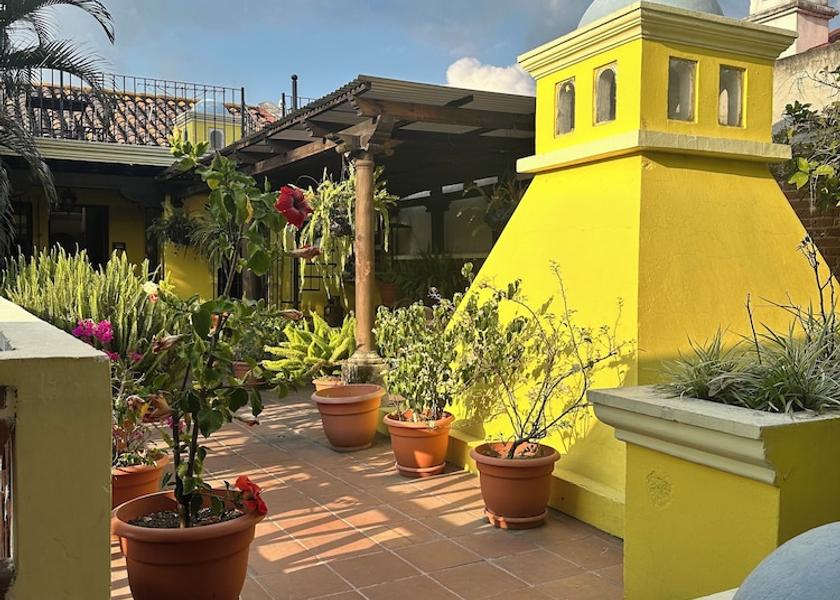 Sacatepequez Antigua Guatemala Garden