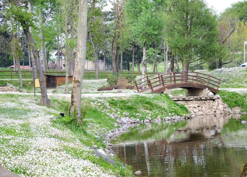 Lombardy Brusaporto Garden