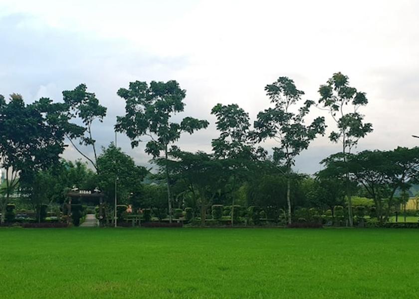 Arusha Region Arusha Garden view