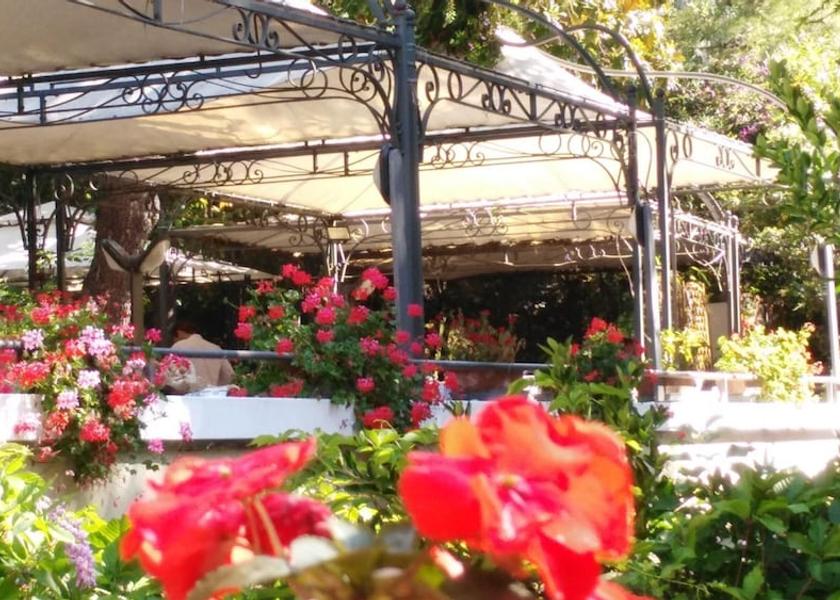 Liguria Bonassola Property Grounds