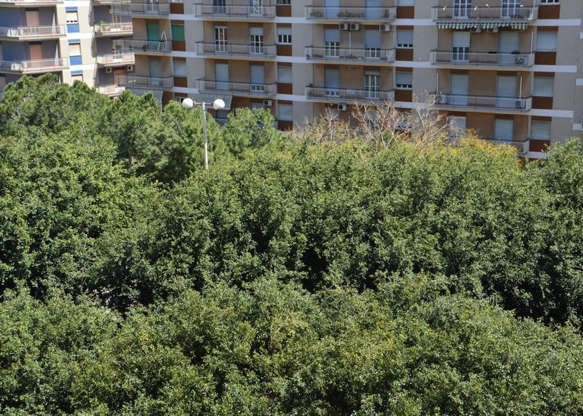 Sicily Catania Property Grounds