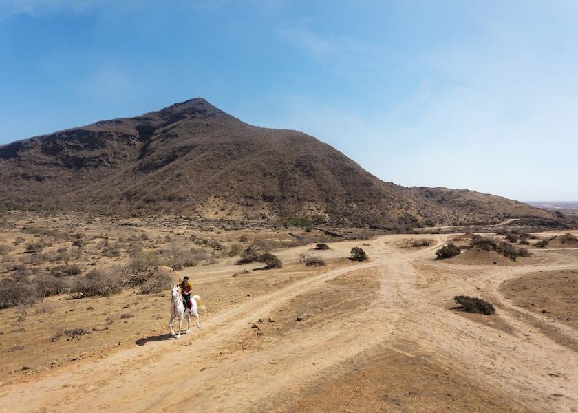 Dhofar Governorate Salalah Horseback riding