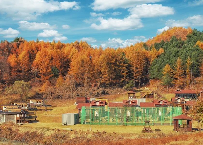 Gangwon Hoengseong Primary image
