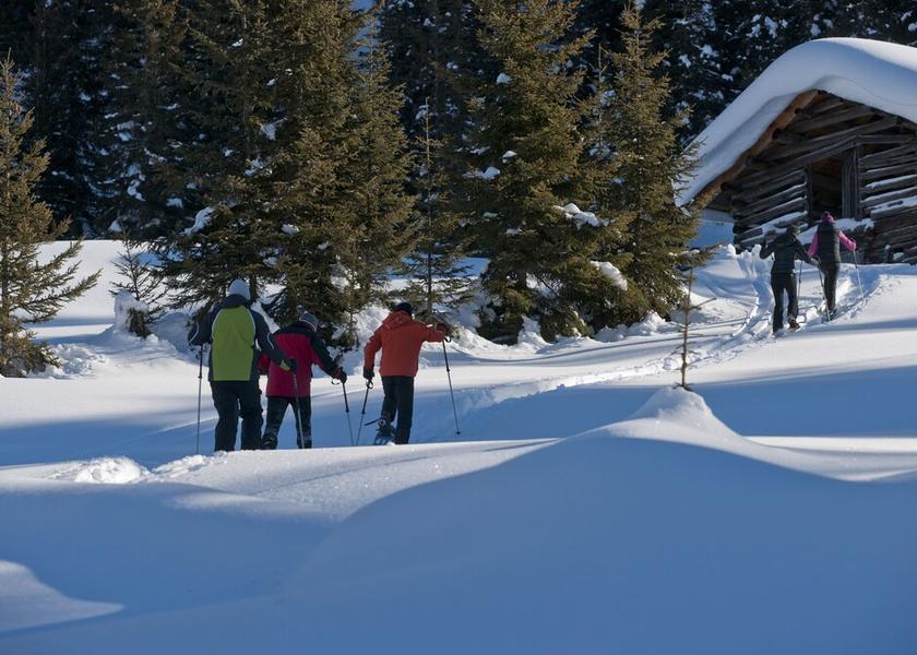 Tyrol See Snowshoeing