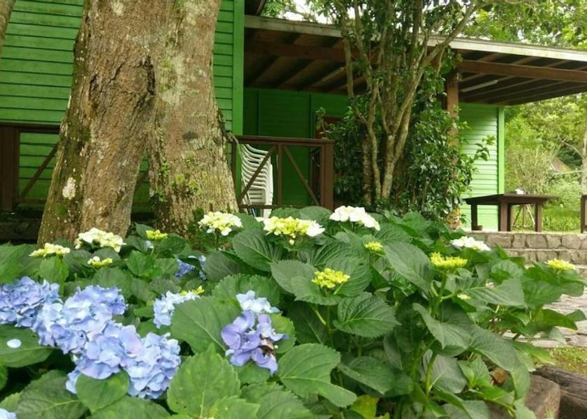 Miaoli County Nanzhuang Property Grounds
