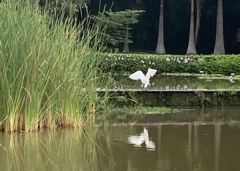 Morelos Xochitepec Lake