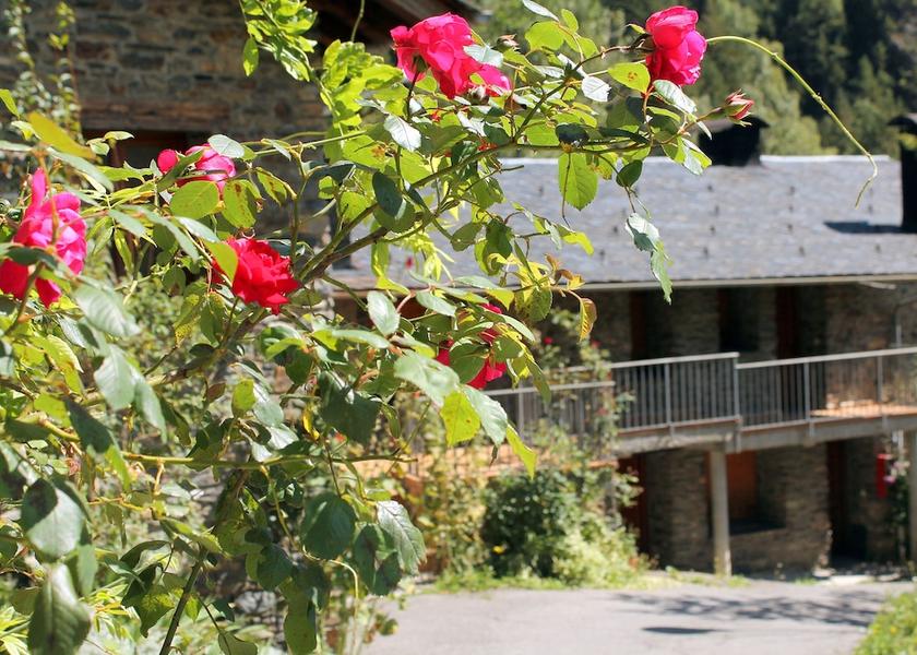  Llorts Exterior Detail