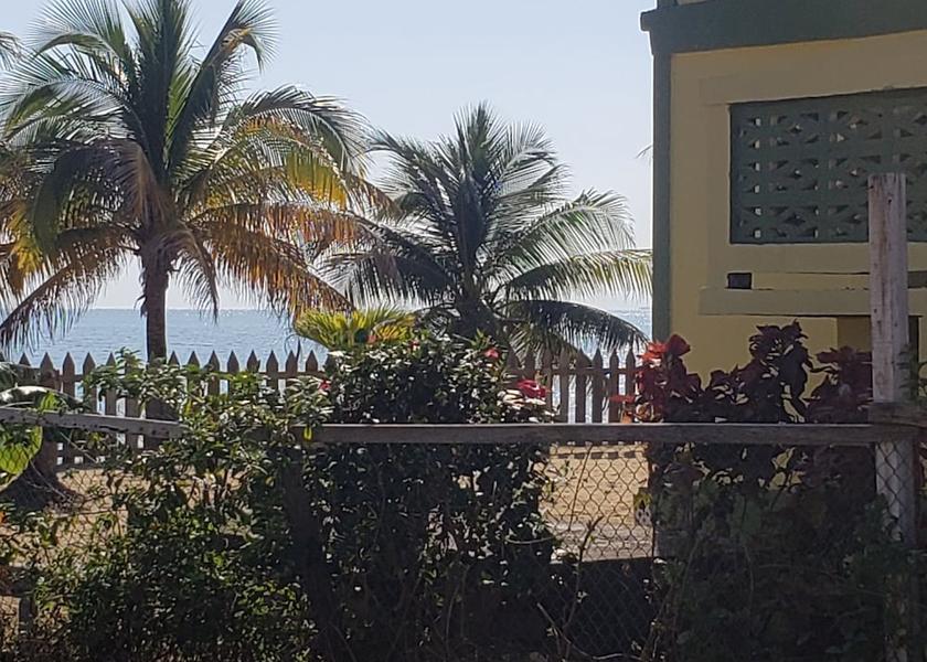 Stann Creek District Dangriga Garden