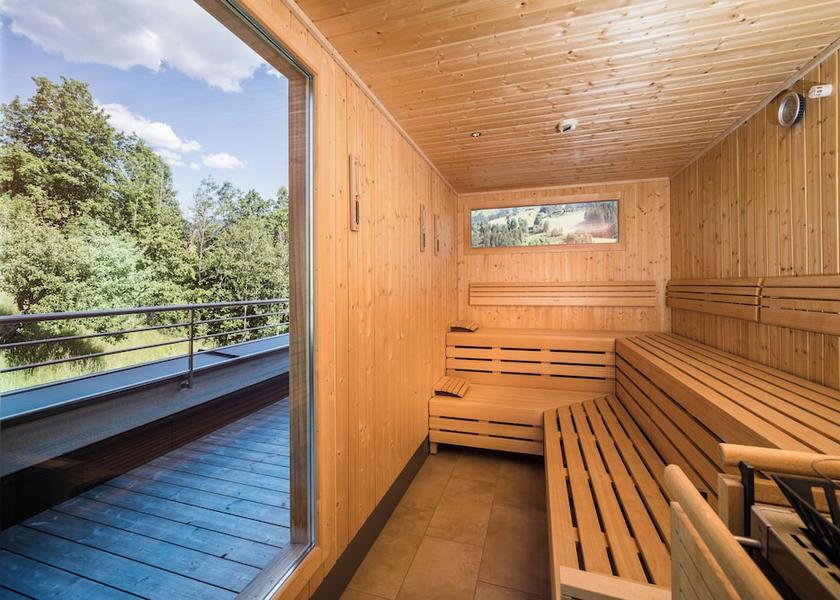 Salzburg State Maria Alm am Steinernen Meer Sauna