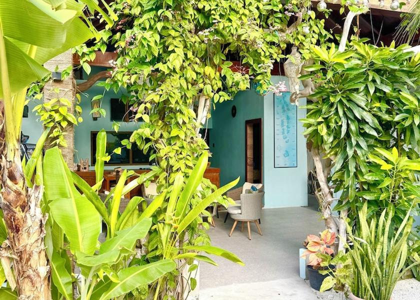 South Ari Atoll Dhigurah Facade