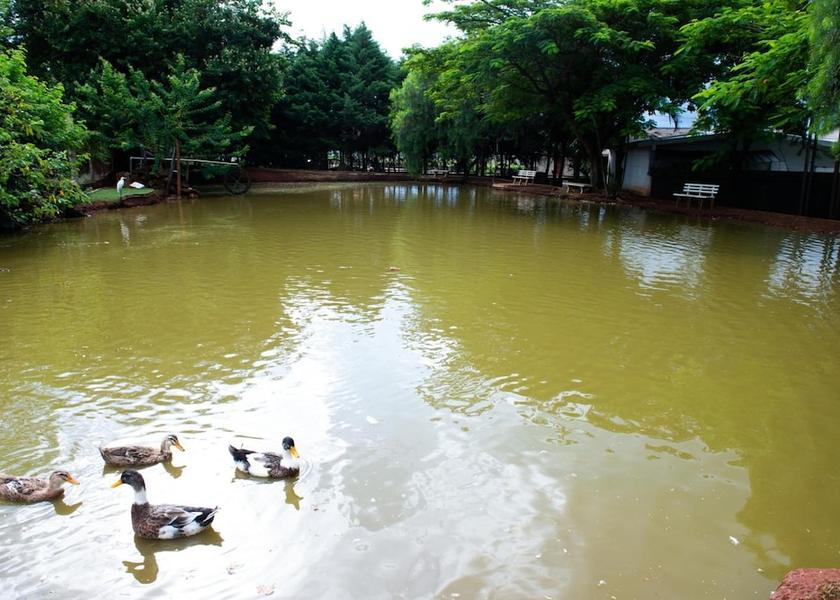 São Paulo State Avare Lake