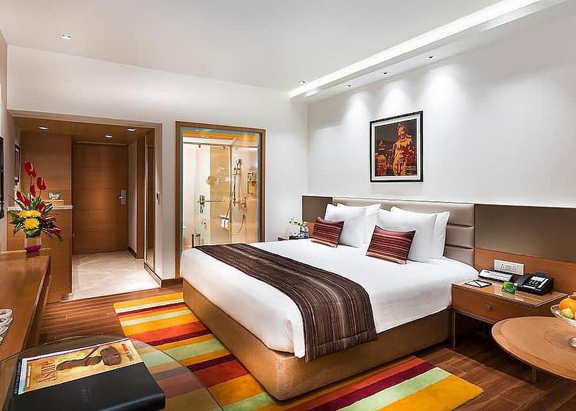 Tamil Nadu Chennai Deluxe Suite