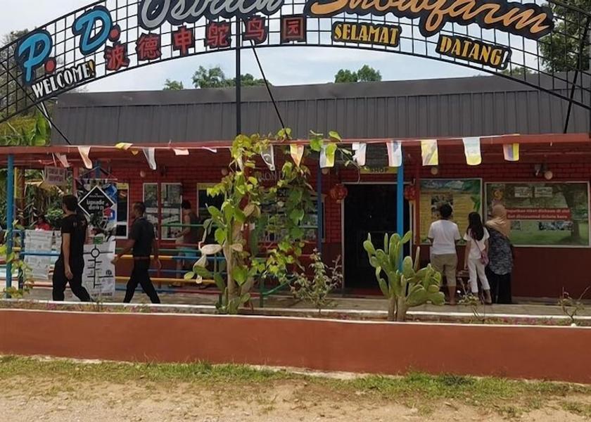 Negeri Sembilan Port Dickson Children's activities