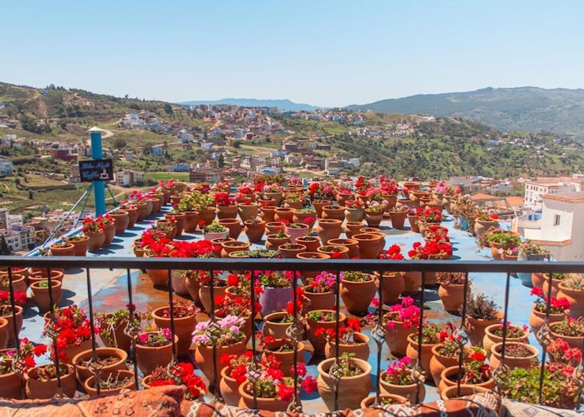 Tanger-Tetouan-Al Hoceima Chefchaouen Terrace