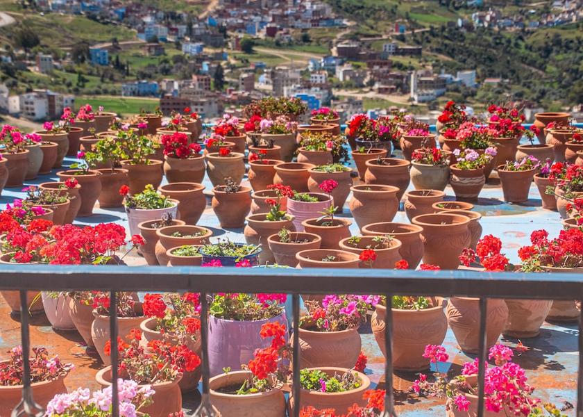 Tanger-Tetouan-Al Hoceima Chefchaouen Terrace