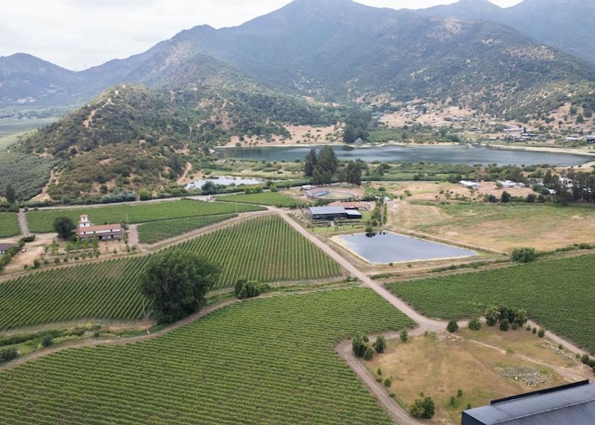 O'Higgins Region Rancagua Vineyard