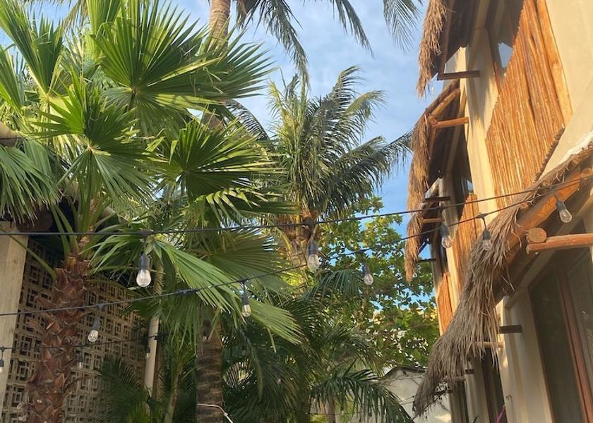 Quintana Roo Isla Holbox Terrace