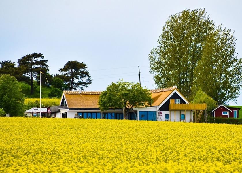 Skåne County Skivarp Facade