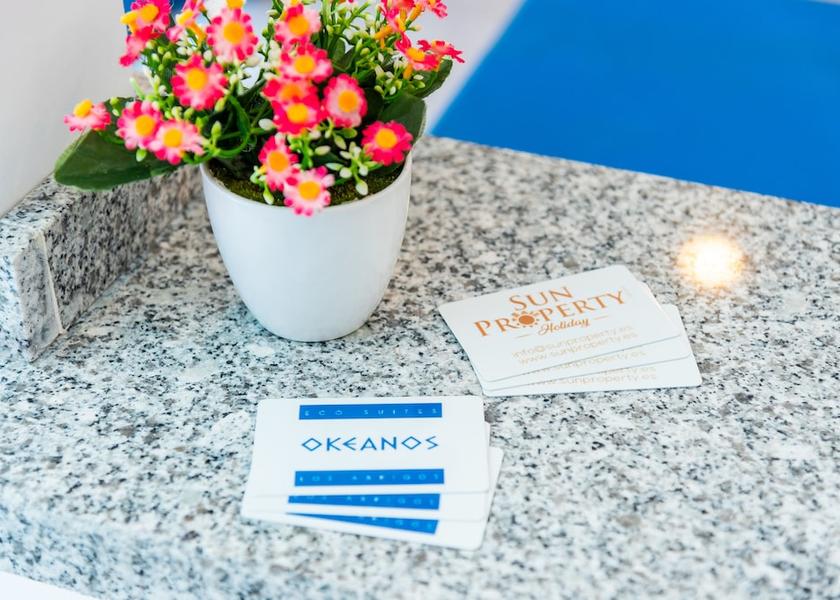 Canary Islands Granadilla de Abona Reception