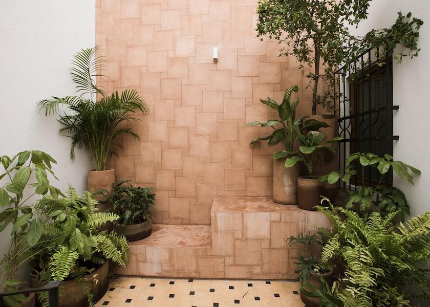 Jalisco Guadalajara Courtyard