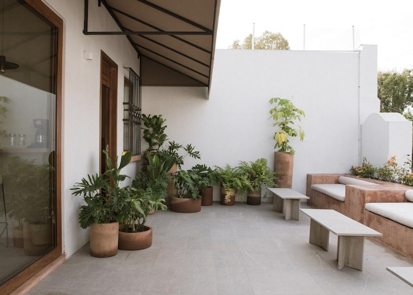Jalisco Guadalajara Terrace