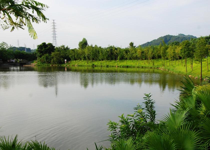 Guangdong Shenzhen Point of interest