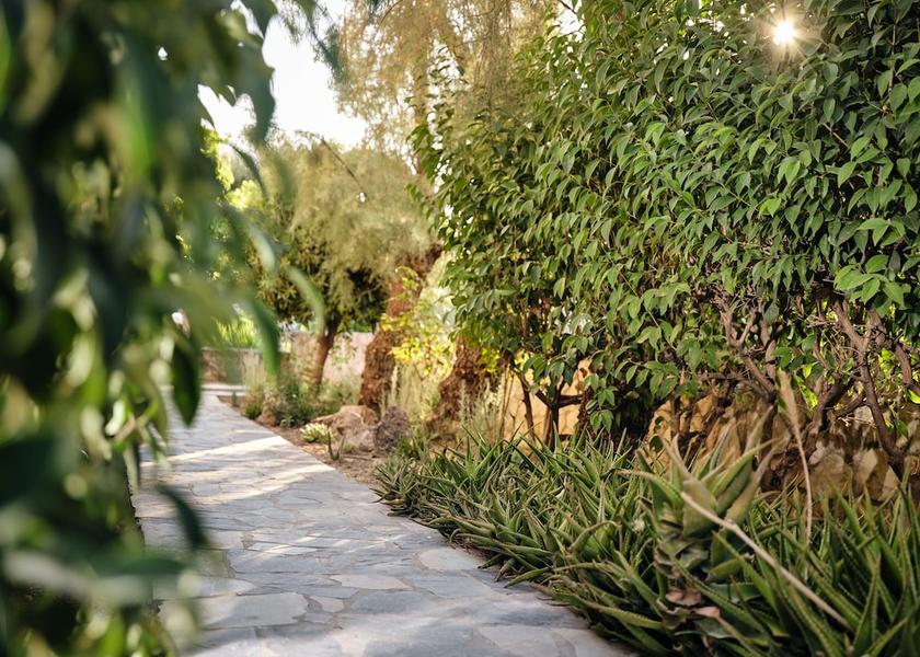 Ionian Islands Region Zakynthos Exterior Detail