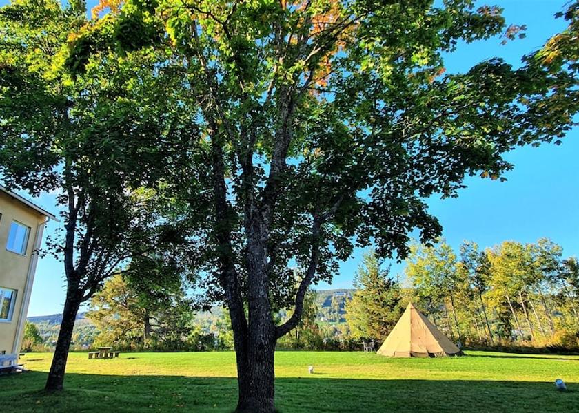 Vasternorrland County Solleftea Exterior Detail