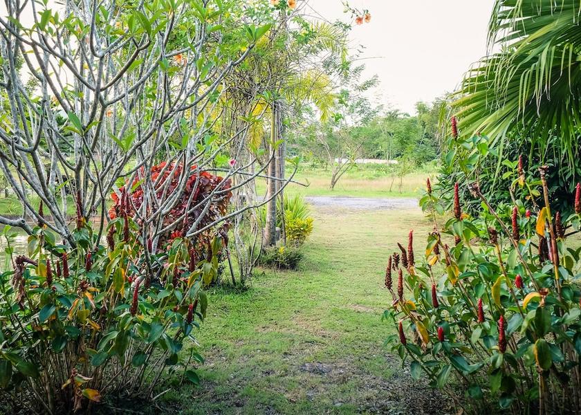 Chiang Rai Province Chiang Rai Property Grounds