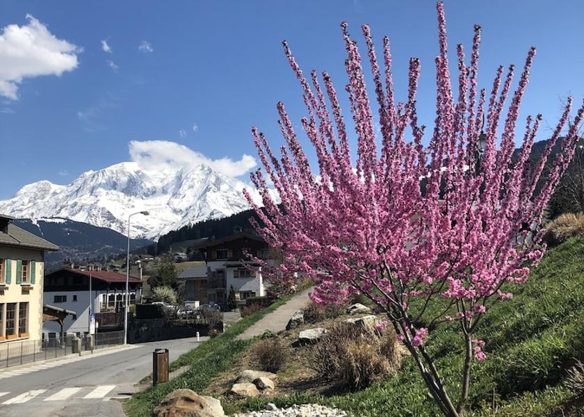 Auvergne-Rhone-Alpes Combloux Exterior Detail