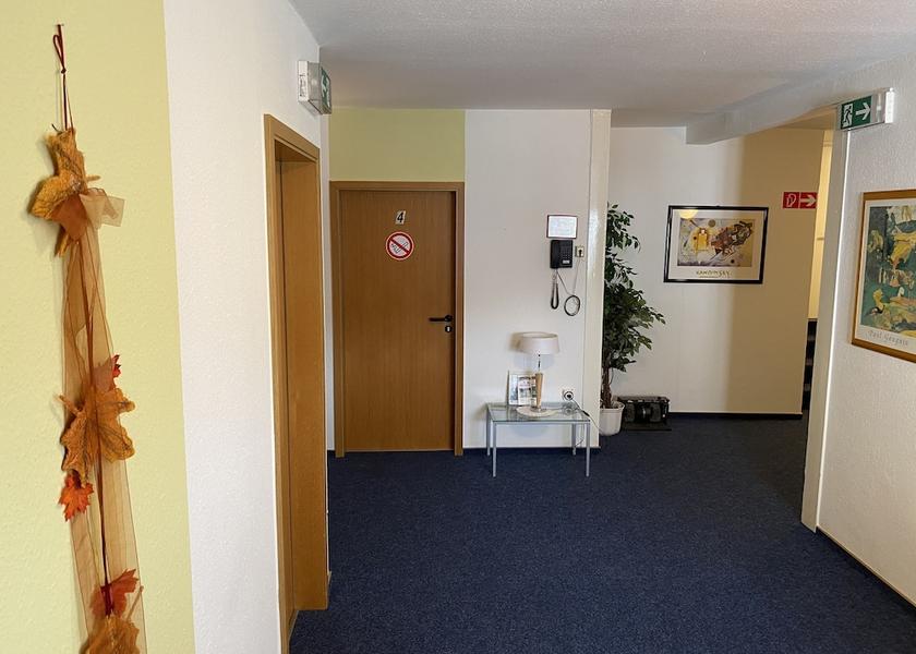 Hessen Knullwald Interior Entrance