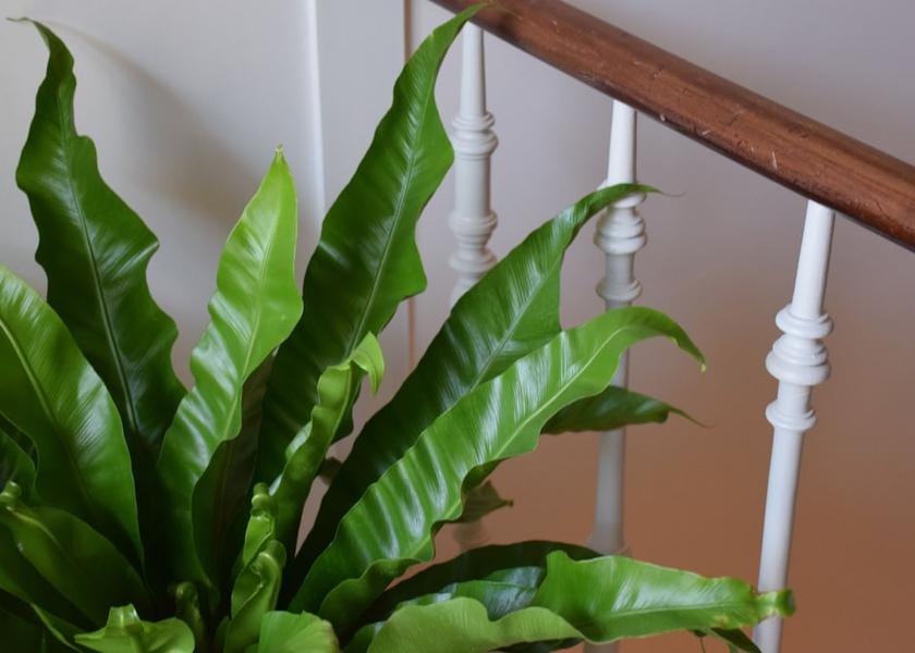 Flemish Region Ghent Staircase