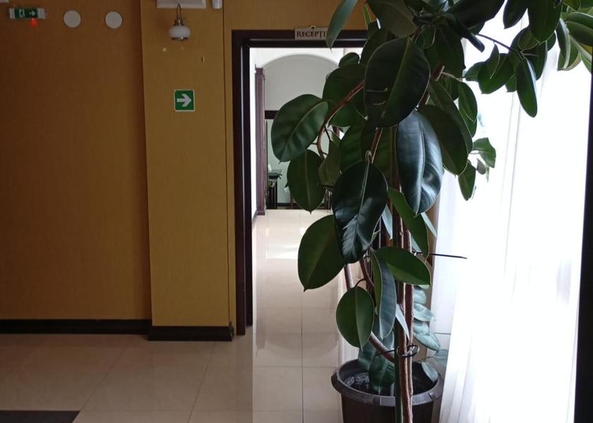 Iași County Iasi Lobby